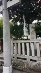 椙森神社の鳥居