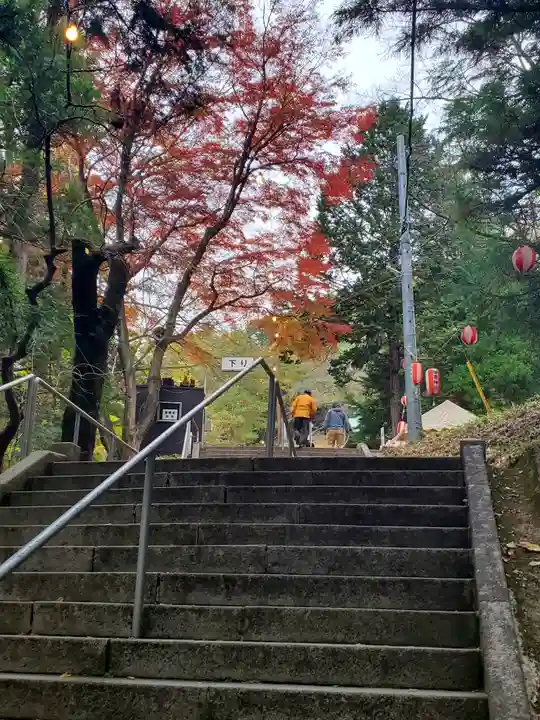 西宮神社の自然
