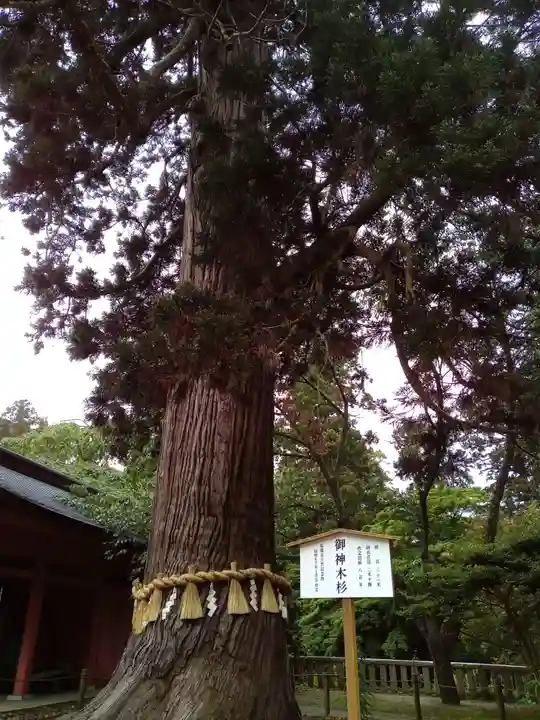 志波彦神社・鹽竈神社(宮城県)