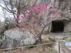 明月院の建物その他