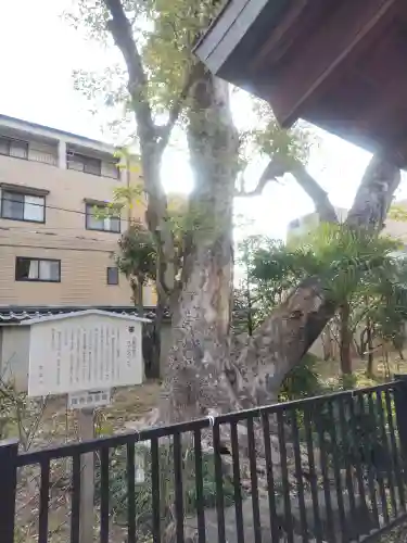 白峯神宮の{uncategorized: "未分類", other: "その他", undefined: "問題あり", building: "その他建物", grave: "お墓", sacred_gate: "鳥居", guardian: "狛犬", statue: "像", buddha: "仏像", history: "歴史", nature: "自然", garden: "庭園", animal: "動物", pagoda: "塔", temizu: "手水舎", mountain_gate: "山門・神門", sanctuary: "本殿・本堂", subordinate: "末社・摂社", art: "芸術", scenery: "景色", jizo: "地蔵", ema: "絵馬", goshuin: "御朱印", omikuji: "おみくじ", items: "授与品その他", amulet: "お守り", goshuincho: "御朱印帳", eats: "食事", festival: "お祭り", votive_dance: "神楽", shichigosan: "七五三参", wedding: "結婚式", experience: "体験その他", initially: "初詣", around: "周辺", anti_infection: "感染症対策"}