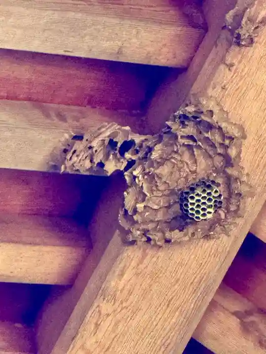 瀬織津姫社(石川県)