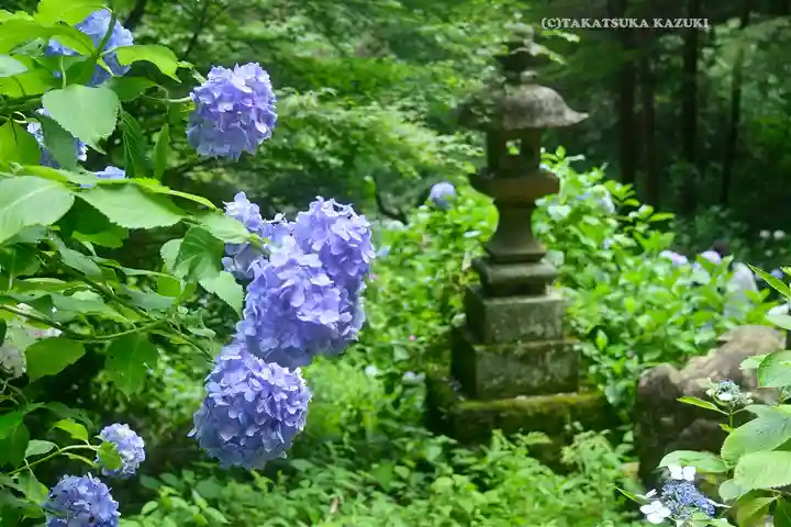 太平山神社(栃木県)
