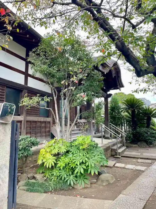 常行寺(常行三昧寺)(東京都)