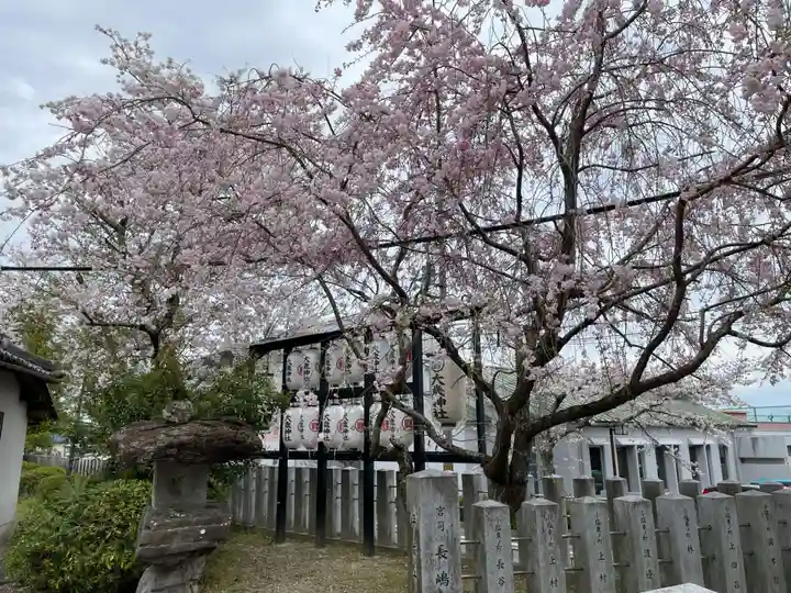 大歳神社(京都府)