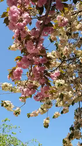 圓光寺(京都府)