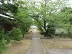 野中寺の建物その他