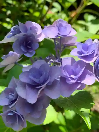 陽林寺(福島県)