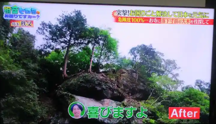 観音院(埼玉県)