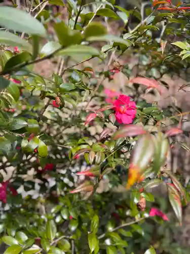 駒形大重神社(奈良県)