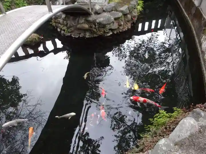 鈴鹿明神社の動物