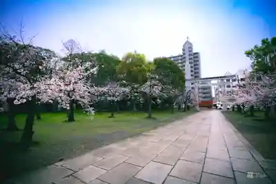 大阪護國神社(大阪府)