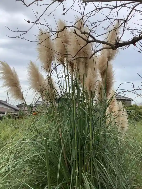 三明神社の自然