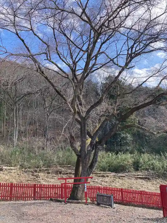 出雲神社(栃木県)