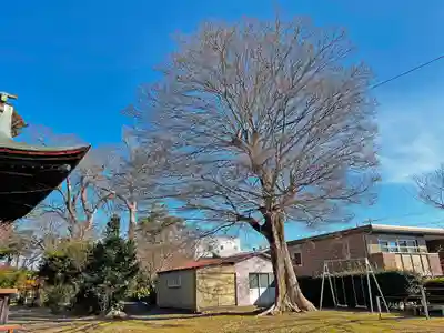 淡海國玉神社のその他建物