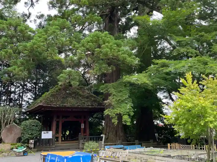 宝城坊(神奈川県)