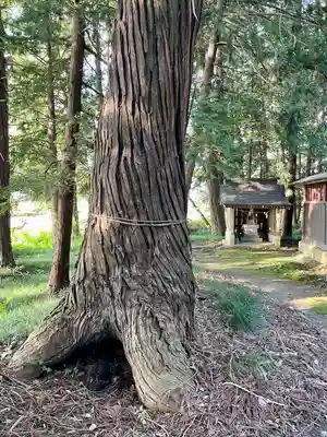 吉田八幡宮(栃木県)