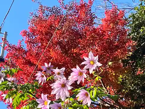 弘川寺(大阪府)