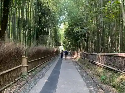 野宮神社の周辺