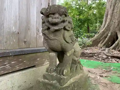 率土神社の狛犬