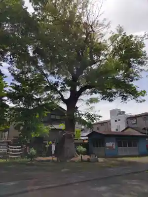 上戸田氷川神社のその他建物