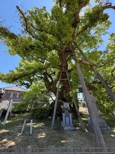 善通寺の{uncategorized: "未分類", other: "その他", undefined: "問題あり", building: "その他建物", grave: "お墓", sacred_gate: "鳥居", guardian: "狛犬", statue: "像", buddha: "仏像", history: "歴史", nature: "自然", garden: "庭園", animal: "動物", pagoda: "塔", temizu: "手水舎", mountain_gate: "山門・神門", sanctuary: "本殿・本堂", subordinate: "末社・摂社", art: "芸術", scenery: "景色", jizo: "地蔵", ema: "絵馬", goshuin: "御朱印", omikuji: "おみくじ", items: "授与品その他", amulet: "お守り", goshuincho: "御朱印帳", eats: "食事", festival: "お祭り", votive_dance: "神楽", shichigosan: "七五三参", wedding: "結婚式", experience: "体験その他", initially: "初詣", around: "周辺", anti_infection: "感染症対策"}