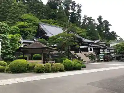 最乗寺（道了尊）の本殿・本堂