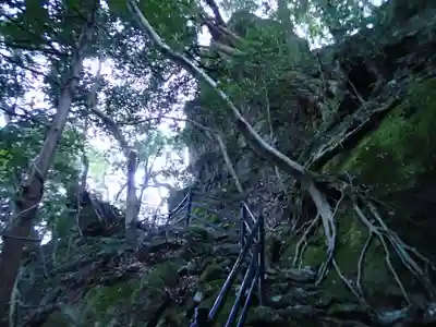 韓竈神社の自然