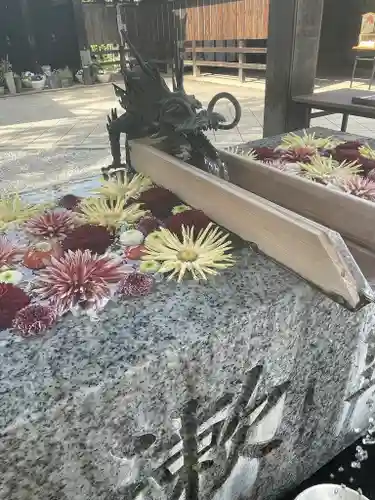 川越八幡宮(埼玉県)