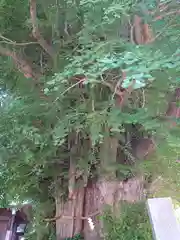 鶴嶺八幡宮の芸術