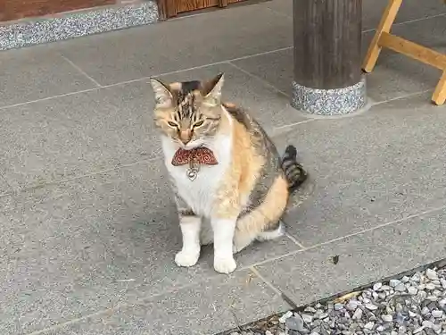 前玉神社の動物