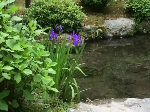 平安神宮の庭園