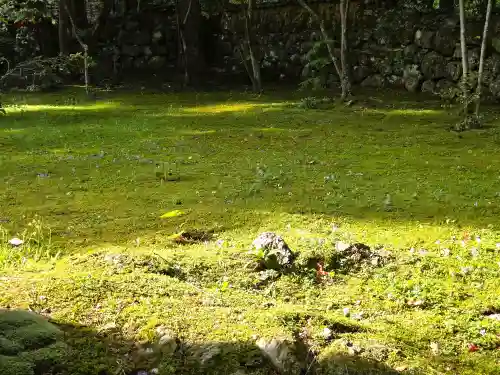 竹林寺(高知県)