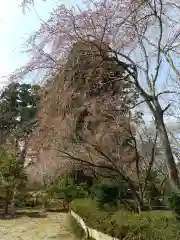 伊佐須美神社の自然