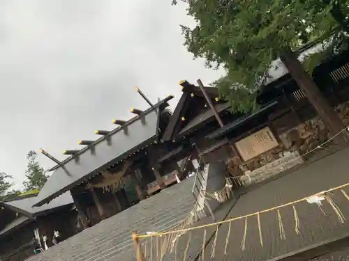 北海道神宮の本殿・本堂