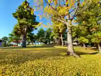 麓山神社の自然