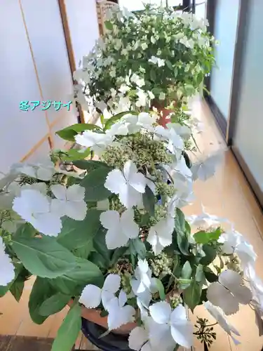 豊景神社(福島県)