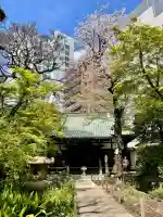 東福寺の{uncategorized: "未分類", other: "その他", undefined: "問題あり", building: "その他建物", grave: "お墓", sacred_gate: "鳥居", guardian: "狛犬", statue: "像", buddha: "仏像", history: "歴史", nature: "自然", garden: "庭園", animal: "動物", pagoda: "塔", temizu: "手水舎", mountain_gate: "山門・神門", sanctuary: "本殿・本堂", subordinate: "末社・摂社", art: "芸術", scenery: "景色", jizo: "地蔵", ema: "絵馬", goshuin: "御朱印", omikuji: "おみくじ", items: "授与品その他", amulet: "お守り", goshuincho: "御朱印帳", eats: "食事", festival: "お祭り", votive_dance: "神楽", shichigosan: "七五三参", wedding: "結婚式", experience: "体験その他", initially: "初詣", around: "周辺", anti_infection: "感染症対策"}