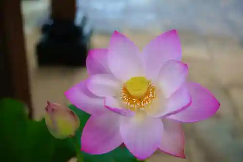 法源寺(山梨県)