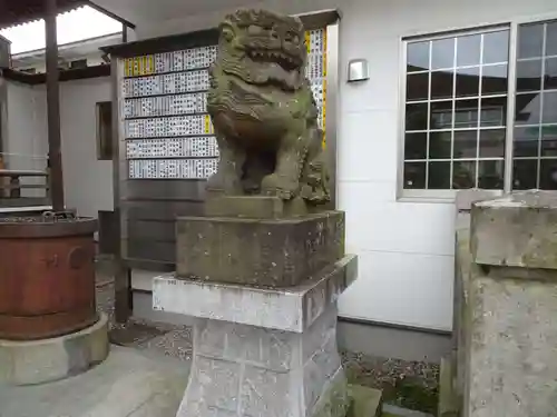 今泉八坂神社の狛犬