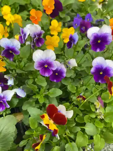 彦嶽宮(熊本県)