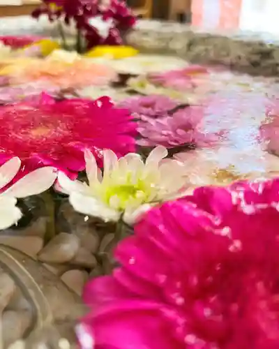 札幌諏訪神社の手水舎
