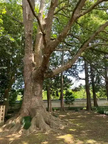 弘道館鹿島神社(茨城県)
