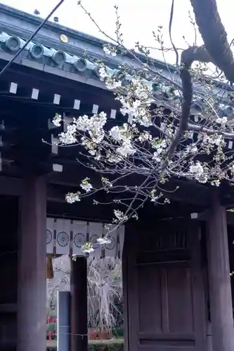 三嶋大社(静岡県)