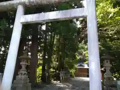 阿伎留神社の鳥居