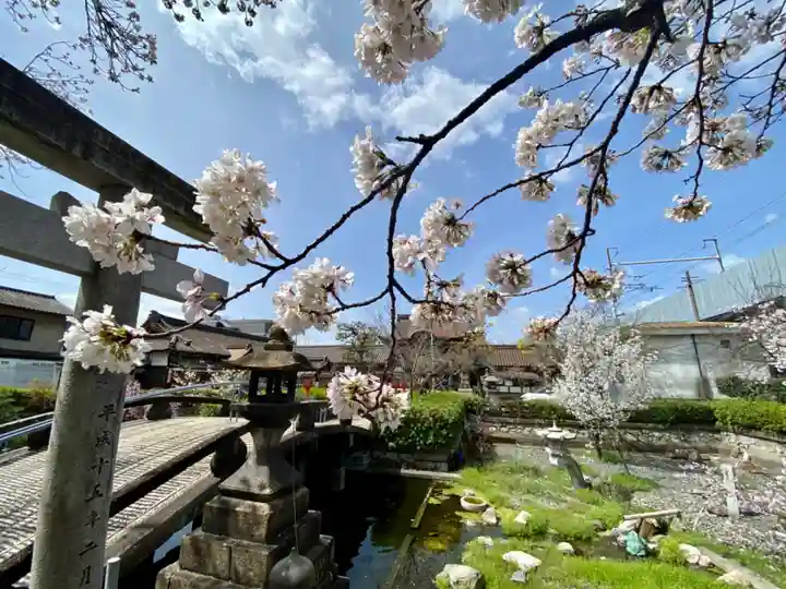 六孫王神社(京都府)