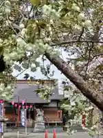 相模原氷川神社(神奈川県)