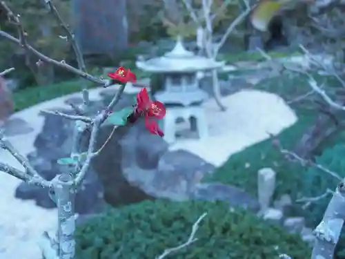 長谷寺の建物その他