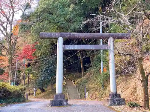 武蔵二宮 金鑚神社の鳥居