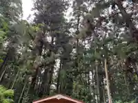 大宮温泉神社(栃木県)